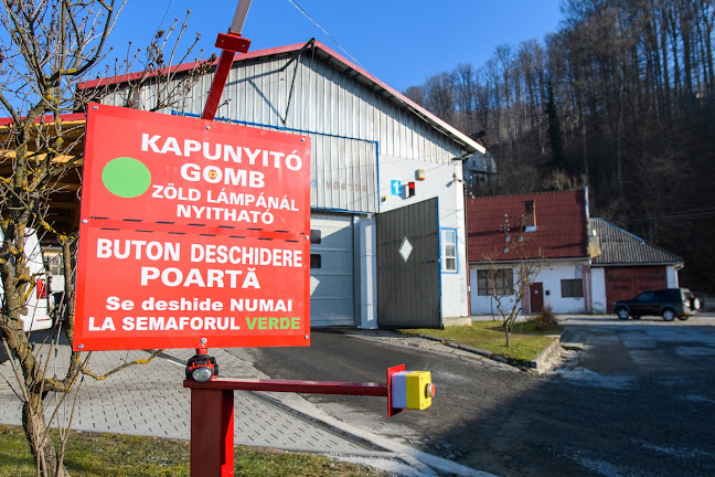 Dumbo Car Wash - Spălătorie auto