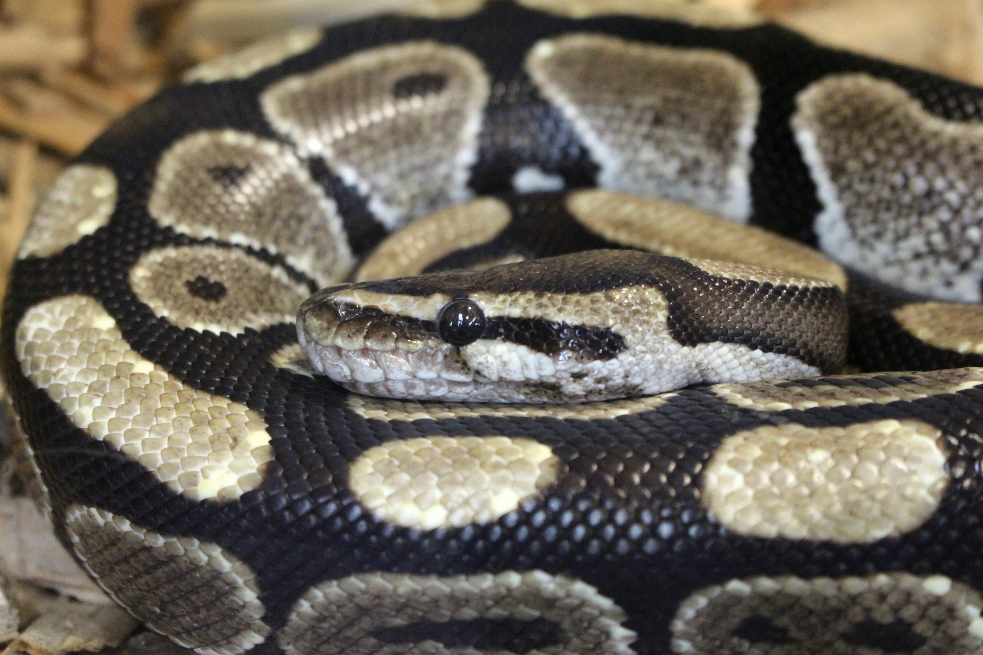 Photo n° 4 de l'avis de Aurore.u fait le 17/08/2020 à 07:24