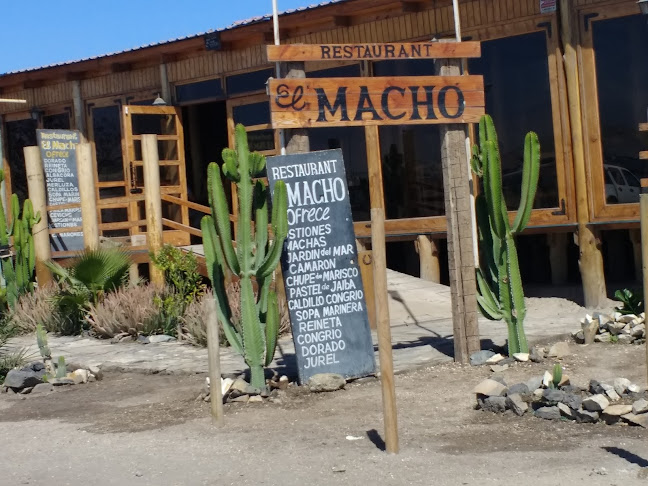El Macho - Restaurante