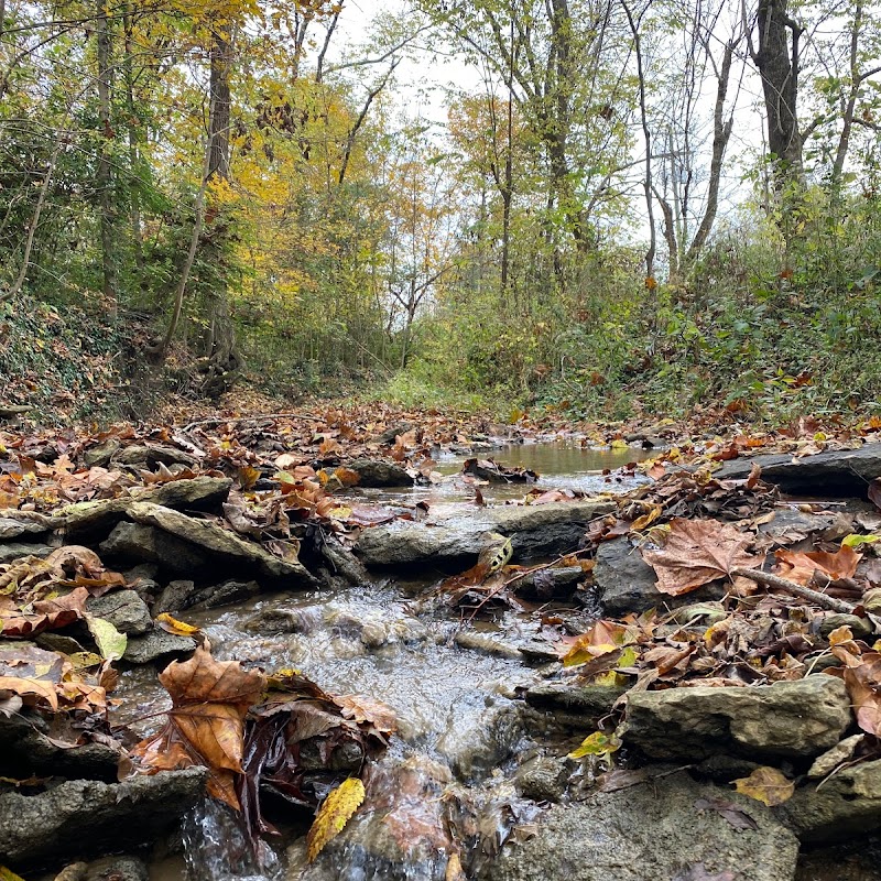 Cherokee Primitive Trail