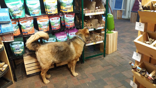 Pet Supply Store «Appalachian Tails Pet Company», reviews and photos, 119 Griswold St, Glastonbury, CT 06033, USA