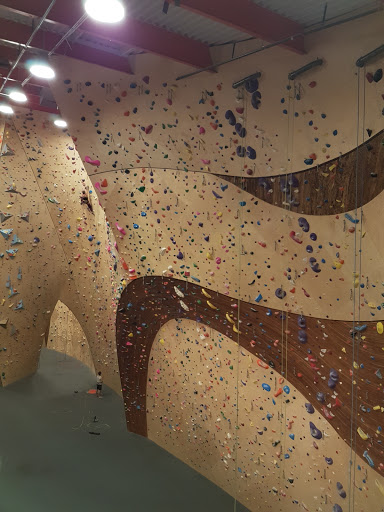 Health Club «The Front Climbing Club», reviews and photos, 1470 400 W, Salt Lake City, UT 84115, USA