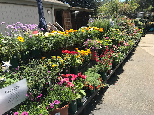 Hardware Store «Marin Ace Hardware», reviews and photos, 180 Merrydale Rd, San Rafael, CA 94903, USA