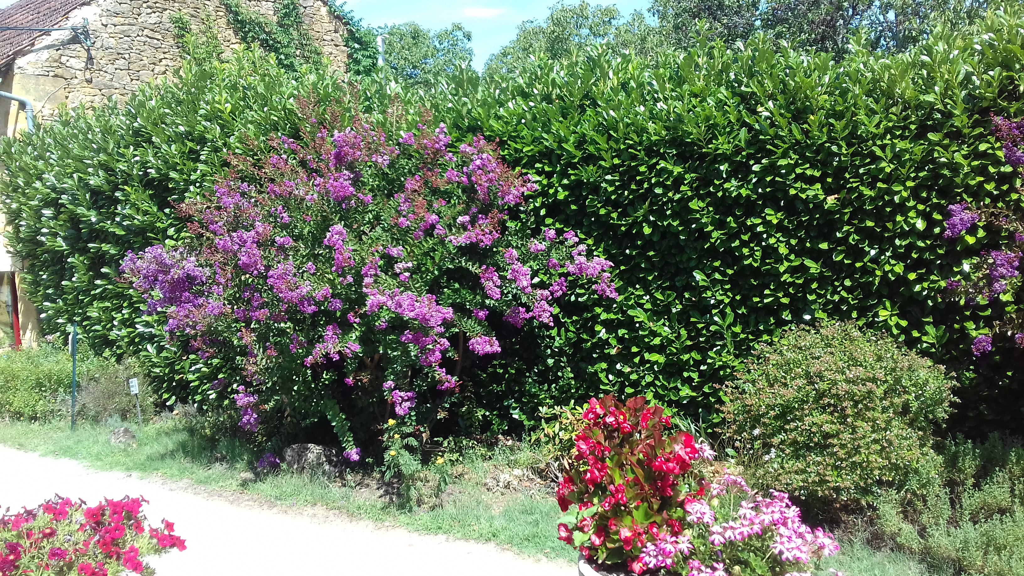 Photo n° 15 de l'avis de Grany.c fait le 16/08/2019 à 10:54