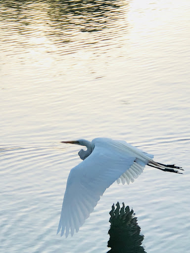 Park «Craig Regional Park», reviews and photos, 3300 N State College Blvd, Fullerton, CA 92835, USA