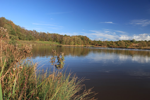 Bateswood nature reserve