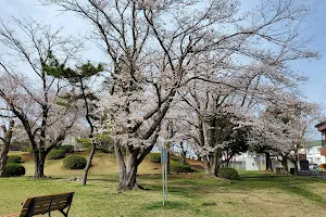 Tatsumi Central Park image