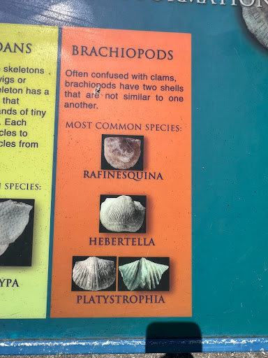 Park «Trammel Fossil Park», reviews and photos, Tramway Dr, Sharonville, OH 45241, USA