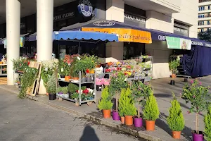 Monceau Fleurs image