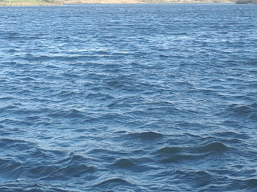 National Park «Chickasaw National Recreation Area», reviews and photos, 901 W 1st St, Sulphur, OK 73086, USA