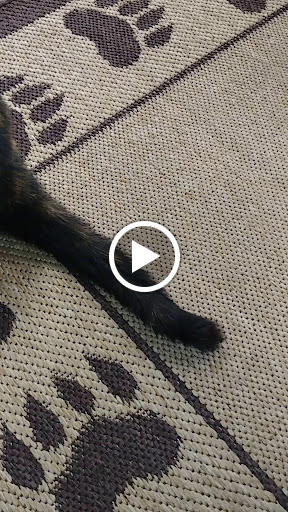 Fishing Store «A2O Boating Supplies & Pro Shop», reviews and photos, 2005 Charlestown New Albany Rd, Jeffersonville, IN 47130, USA