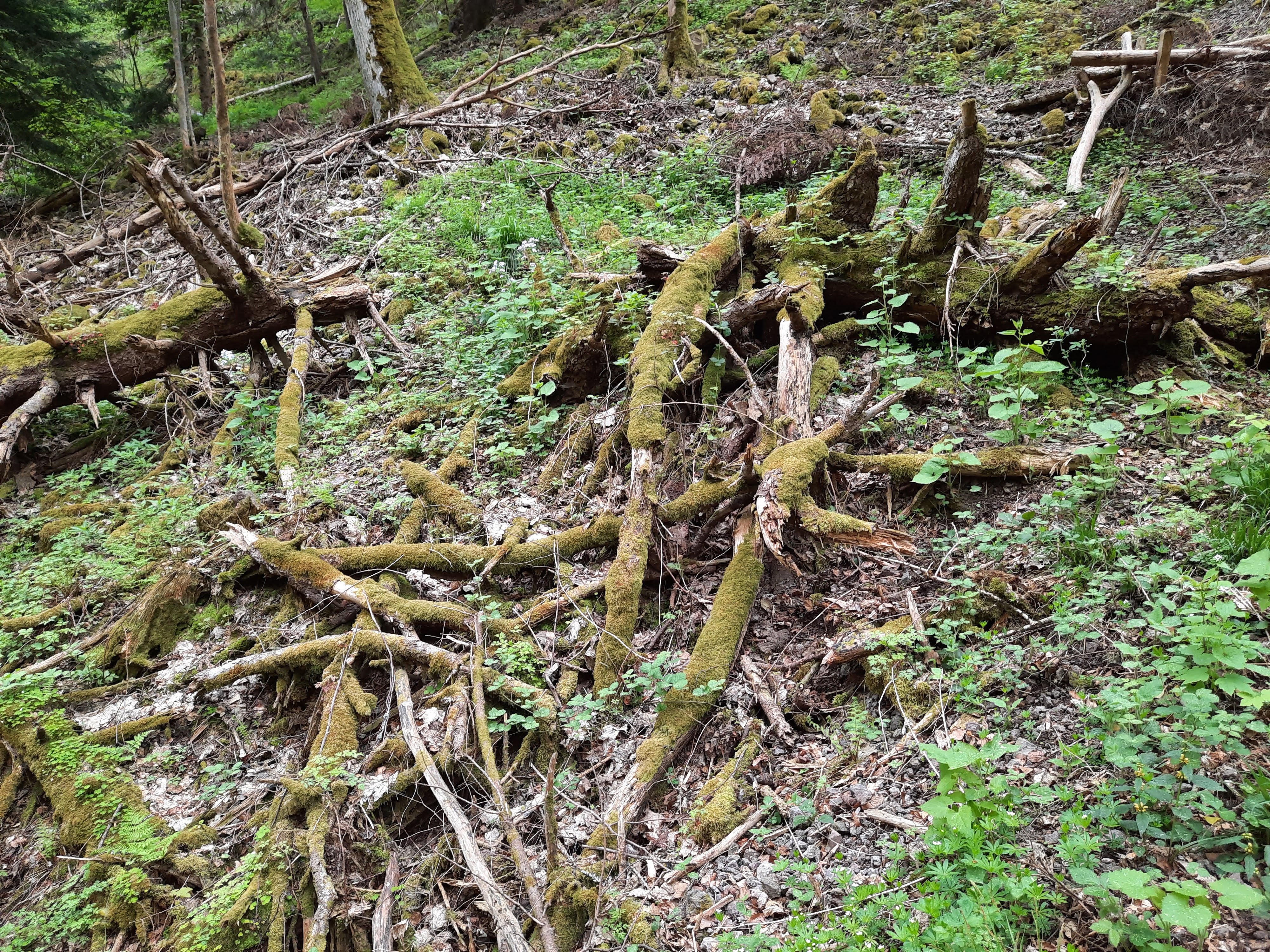 Photo n° 3 de l'avis de sandrine.o fait le 06/05/2022 à 14:01