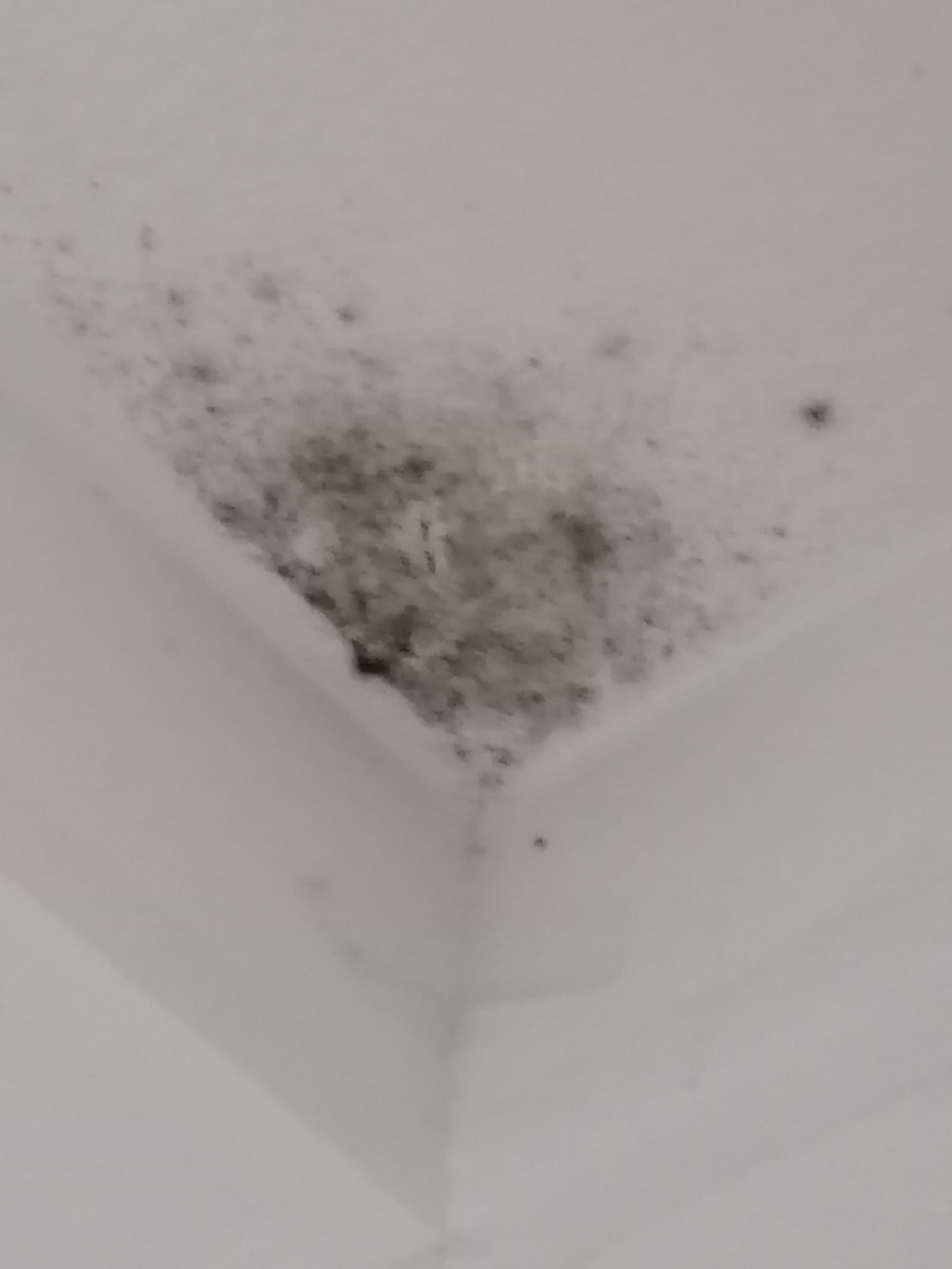 Photo n° 1 de l'avis de ludietgreg.d fait le 19/11/2023 à 10:38