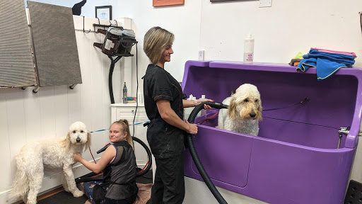 Pet Groomer «A Klassy Lassie, LLC», reviews and photos, 30 Old Jackson Rd, McDonough, GA 30252, USA