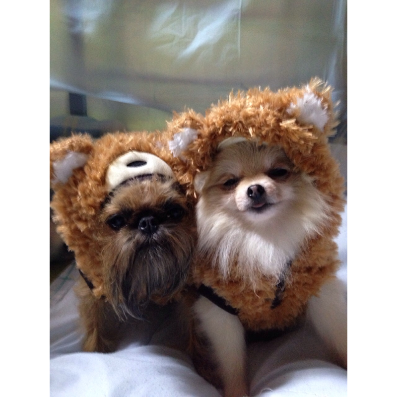 うみねこ博物堂 臨時休業中 神奈川県相模原市南区相南 雑貨店 飲食店 グルコミ