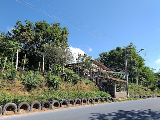 Estação Bambu 