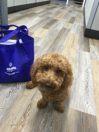 Insurance Agency «Allstate Insurance Agent: Robert Zabbia», reviews and photos