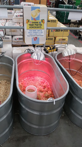 Home Improvement Store «Tractor Supply Co.», reviews and photos, 1161 Broadway, Bangor, ME 04401, USA