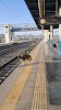 Megara Suburban Station Logo, Megara, Greece, Transit Station
