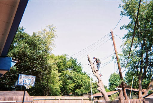 Texas Tree Techs