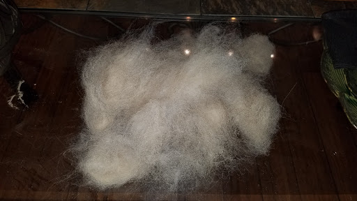 Pet Supply Store «PetSmart», reviews and photos, 479 River Hill Dr, Ashland, KY 41101, USA