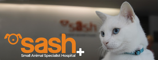 SASH - the Small Animal Specialist Hospital
