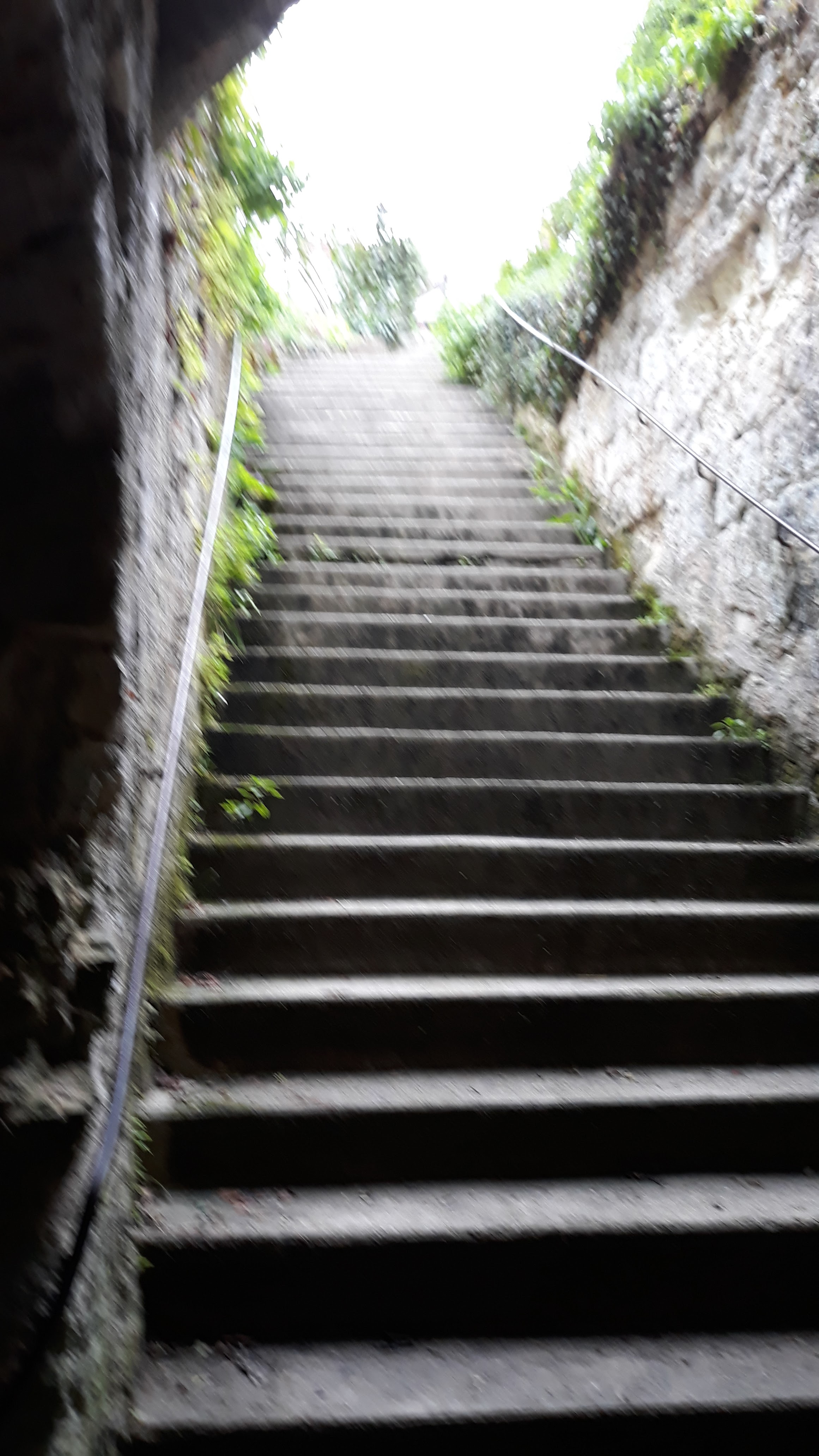 Photo n° 21 de l'avis de Catherine.e fait le 04/10/2019 à 18:01