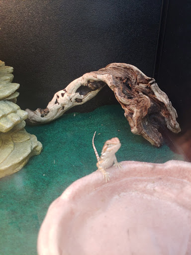 Pet Supply Store «PetSmart», reviews and photos, 3101 Market Center Drive, Morrisville, NC 27560, USA