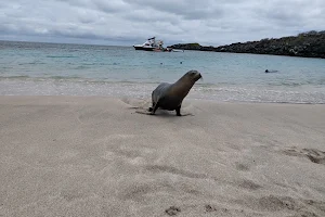 Playa Ochoa image