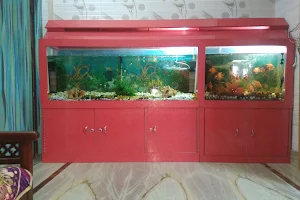 Fish Aquarium image