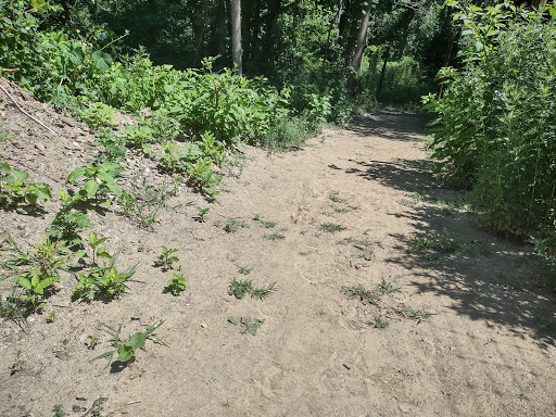 Park «Eisenhower Park», reviews and photos, 780 North St, Milford, CT 06461, USA