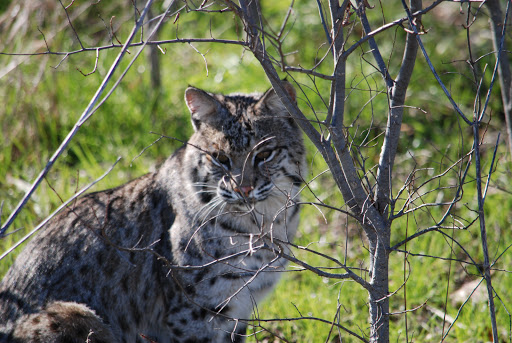 Park «Rickel Park», reviews and photos, 2100 Rickel Park Dr, Hurst, TX 76053, USA