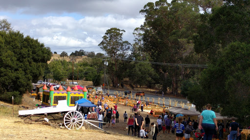 Santa’s Village at Webb Ranch