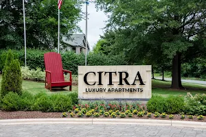 Citra Luxury Apartments image