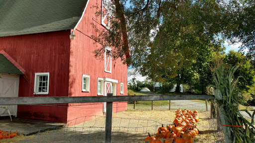 Produce Market «Parks Farms», reviews and photos, 525 NJ-24, Chester, NJ 07930, USA