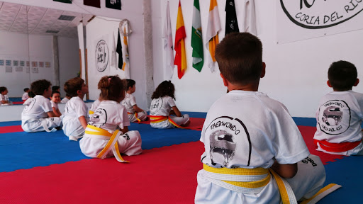 CLUB TAEKWONDO KORYA en Coria del Río, Sevilla