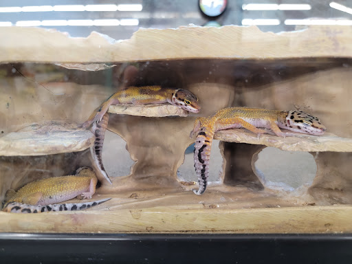 Pet Supply Store «Petco Animal Supplies», reviews and photos, 3444 S Mooney Blvd, Visalia, CA 93277, USA