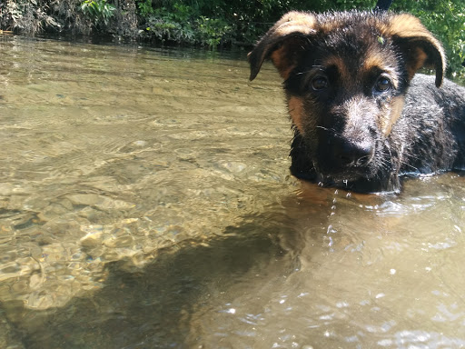 Country Club «Winchester Country Club», reviews and photos, 1300 Senseny Rd, Winchester, VA 22602, USA