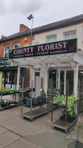 Comments and reviews of County Florist Northampton