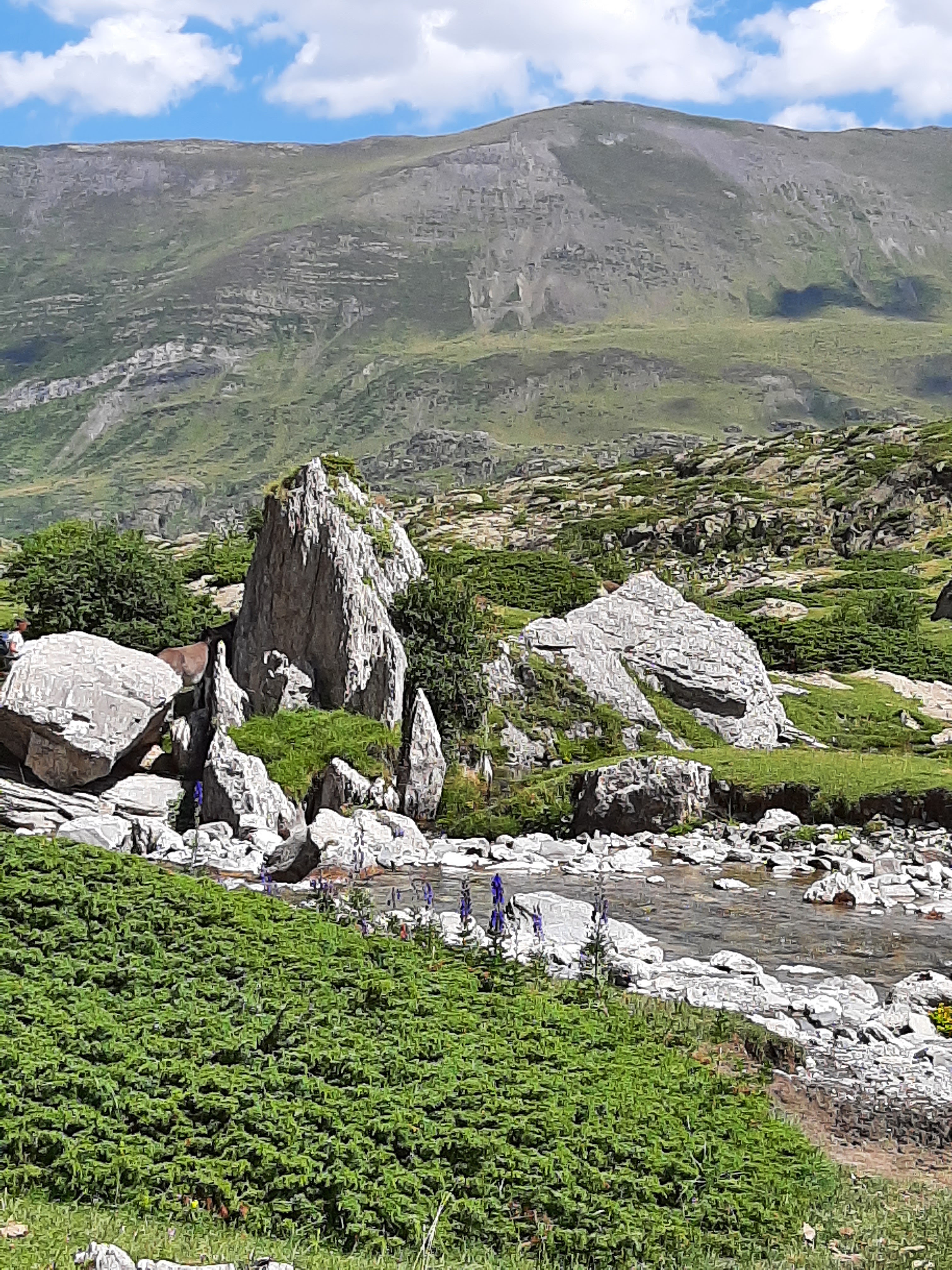 Photo n° 2 de l'avis de Séverine.. fait le 28/08/2021 à 17:41