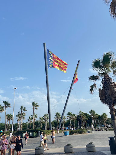 Banderas Gigantes de España y Valencia