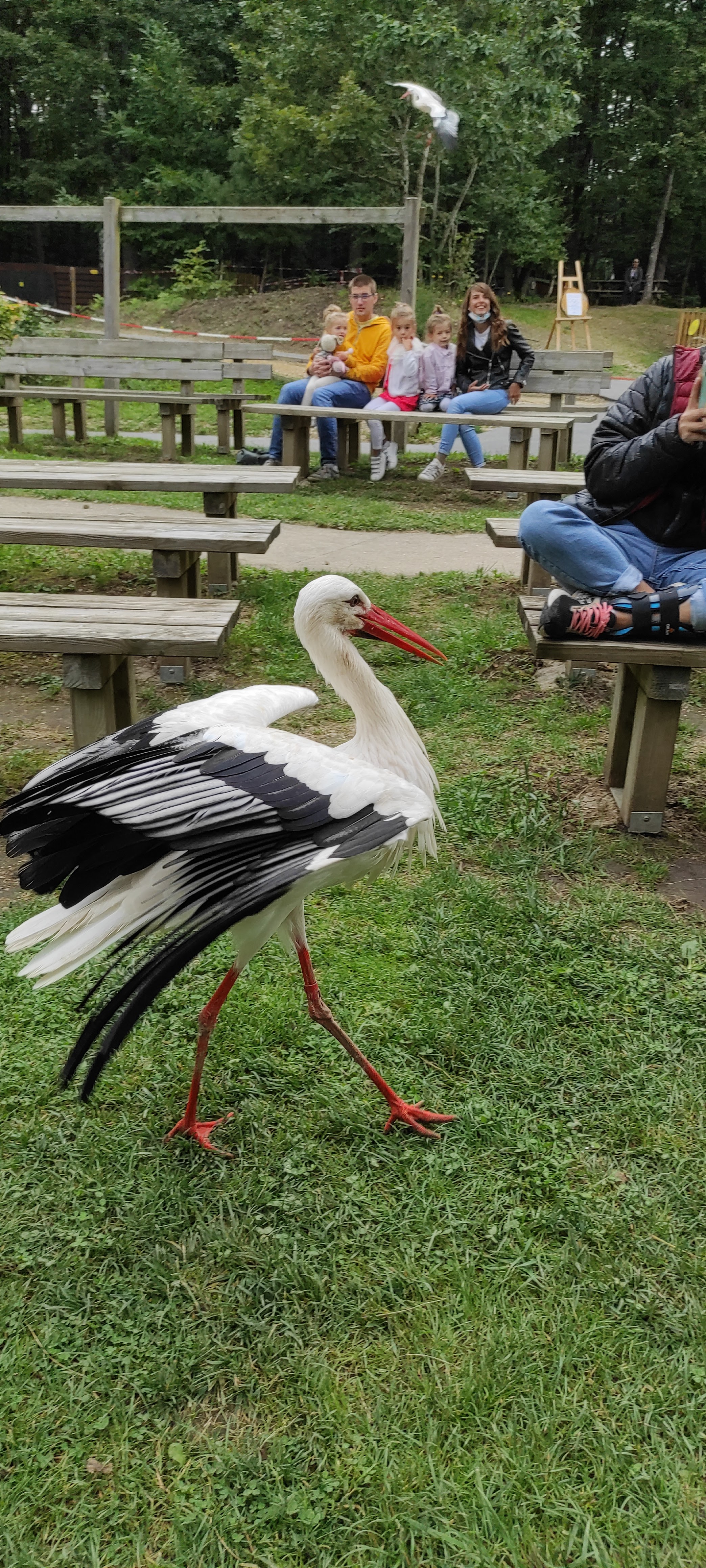 Photo n° 2 de l'avis de Julien.r fait le 29/08/2021 à 19:38