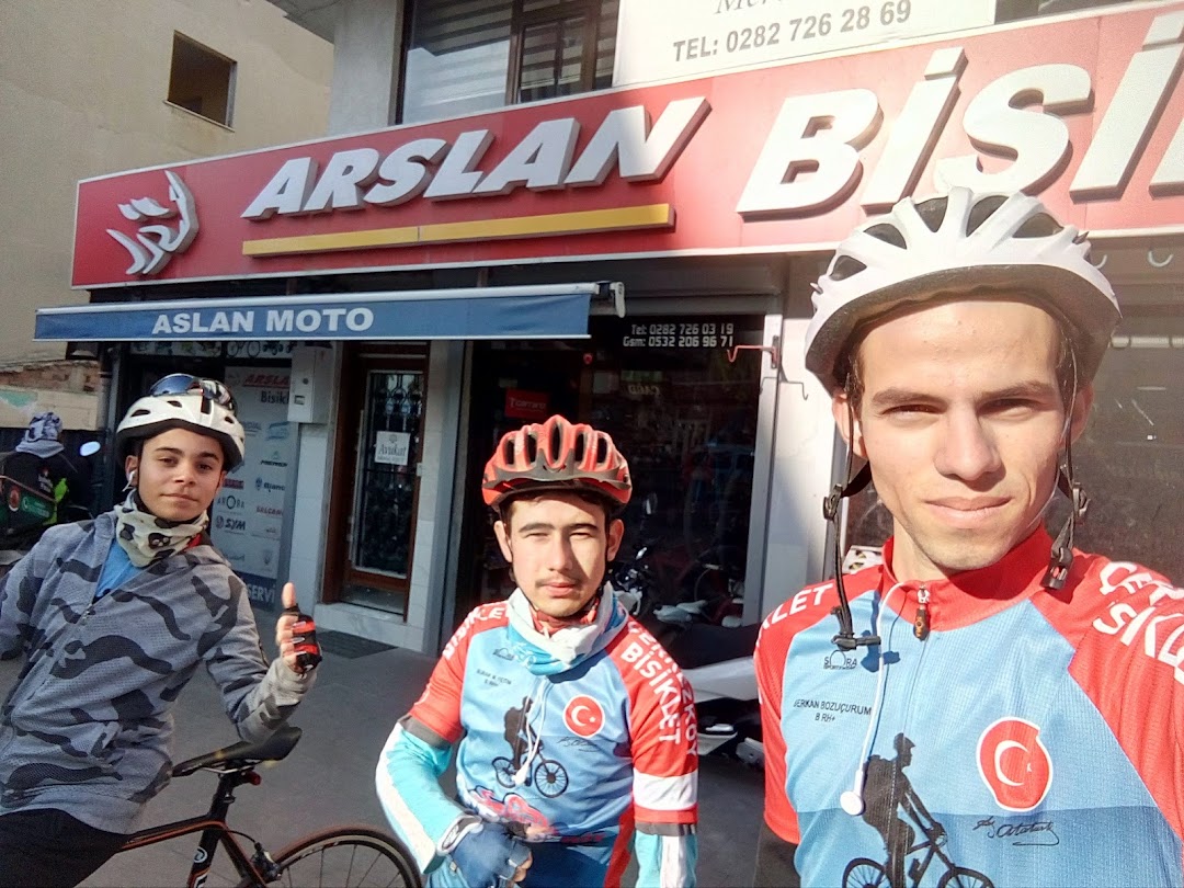 Aslan Motor