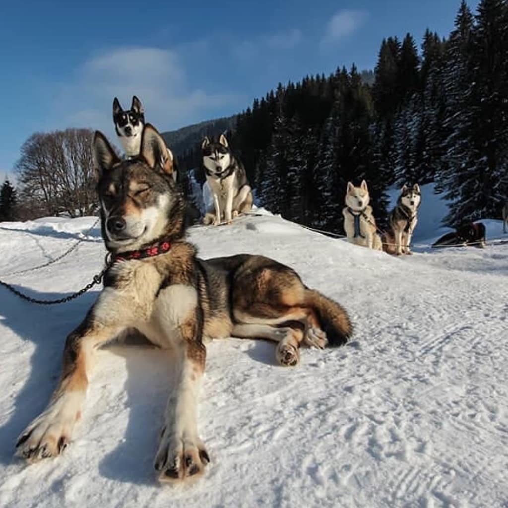 Photo n° 2 de l'avis de Ahmed.l fait le 24/02/2019 à 20:28