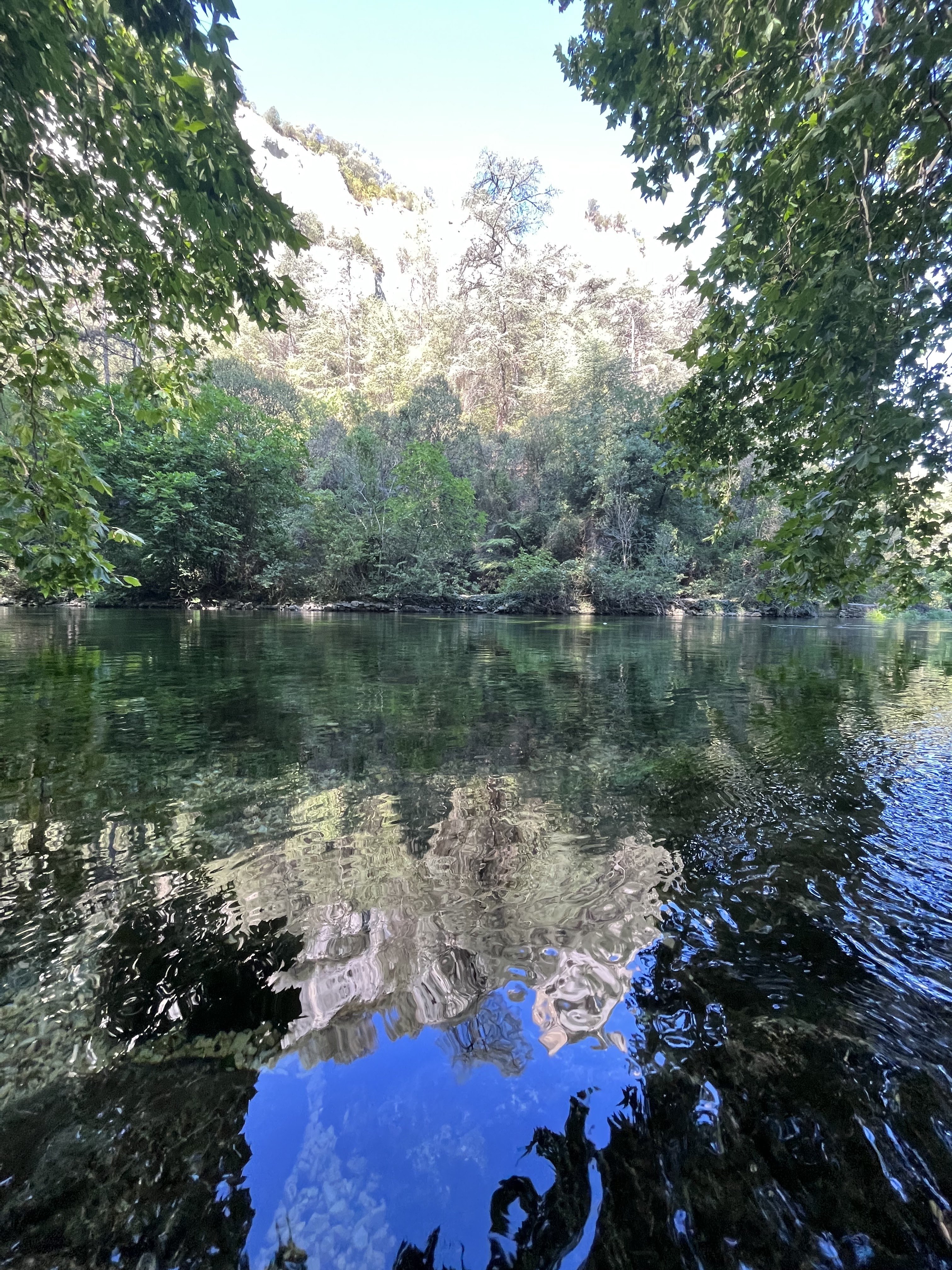 Photo n° 1 de l'avis de Jun.a fait le 21/07/2022 à 18:15