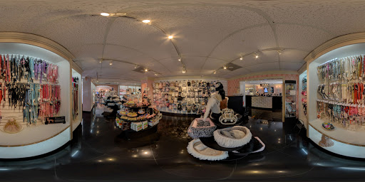 Pet Store «Puppy Boutique Store», reviews and photos, 4001 N Federal Hwy, Fort Lauderdale, FL 33308, USA