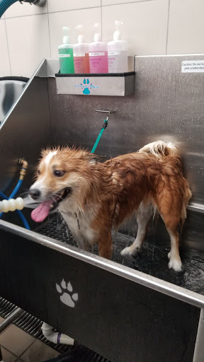 Pet Supply Store «Pet Supplies Plus», reviews and photos, 4121 Buffalo Rd, Erie, PA 16510, USA