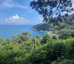 Jungle Vibes photo