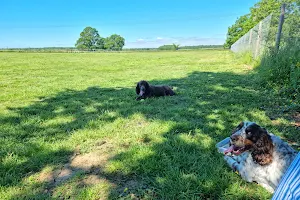 Deanshanger Dog Walking Field image