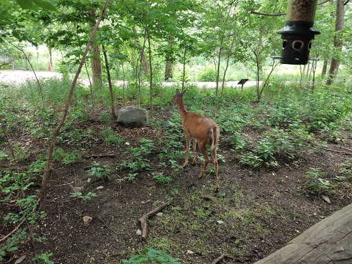 Nature Preserve «The Grove», reviews and photos, 1421 Milwaukee Ave, Glenview, IL 60025, USA